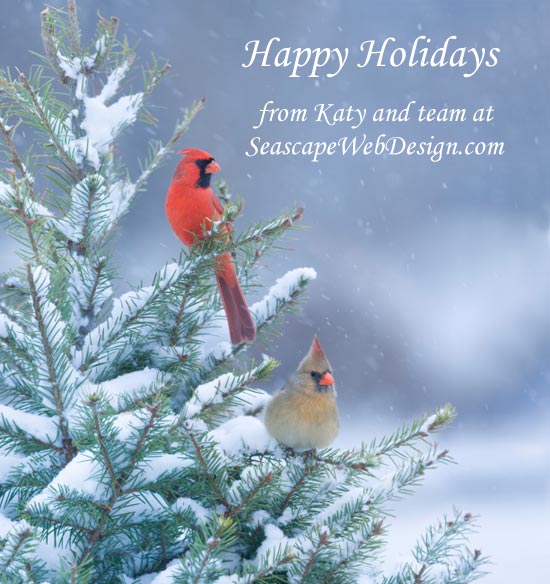 Happy Holidays from Katy and team at SeascapeWebDesign.com